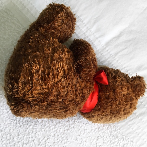 FREE ✨ Teddy Bear, looking for a home! - Picture 4 of 4